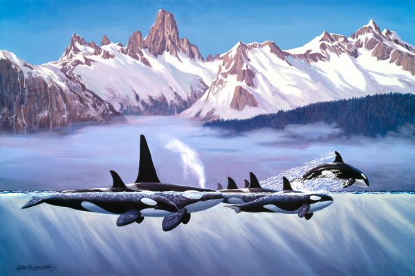 Killer Whales