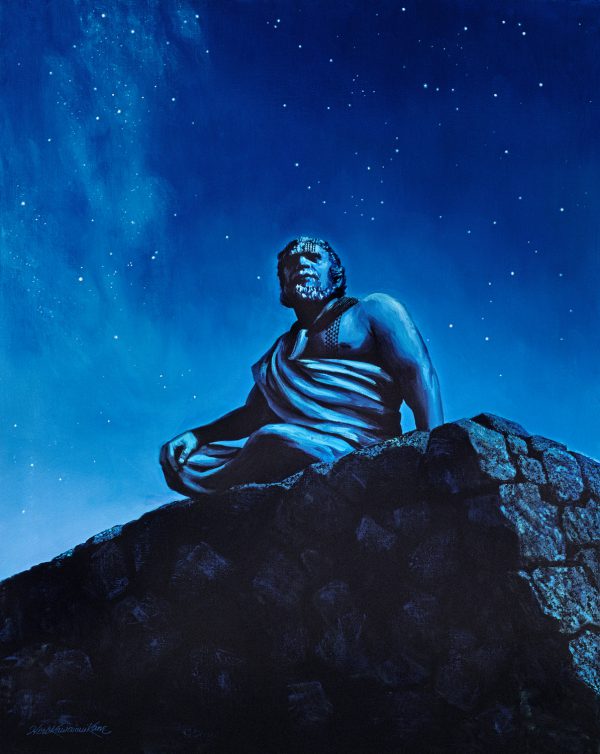 Navigator on the Observatory