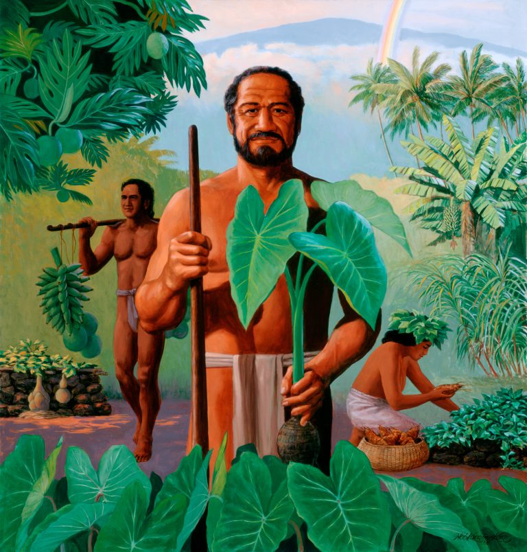 Planter Herb Kawainui Kāne